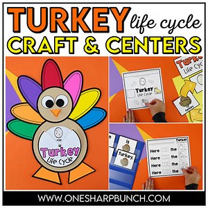 Turkey Life Cycle Turkey Craft for Thanksgiving