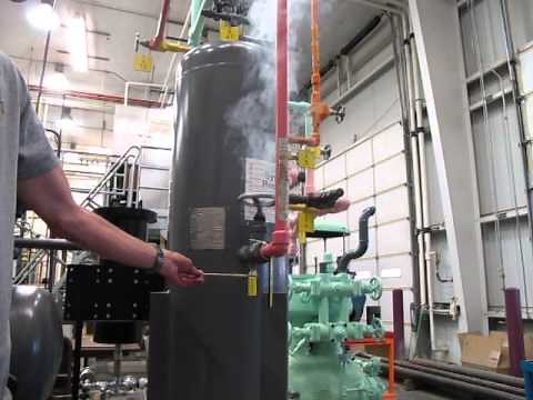 Ammonia leak detection using sulfur stick
