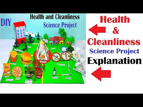 health and cleanliness science project explanation in english | howtofunda