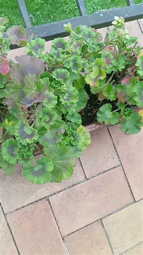 L'évolution des espèces se voit !