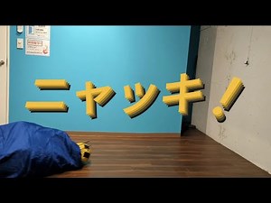 【実写版シリーズ】ニャッキ！