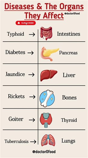 Diseases and the Organs They Affect | Organs Affected Explained #healthylifestyle #healthtips