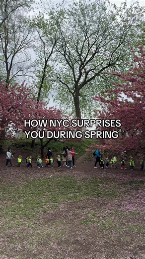 Central Park blossoms everywhere, easily my favorite part of spring in NYC. 🌸 But today, what really caught me was a group of young kids just walking around, laughing and enjoying the day. One of those simple scenes that somehow says everything about the city. That moment will stay in my mind. 🗽☀️ #nyc #centralpark #spring #newyork #fy