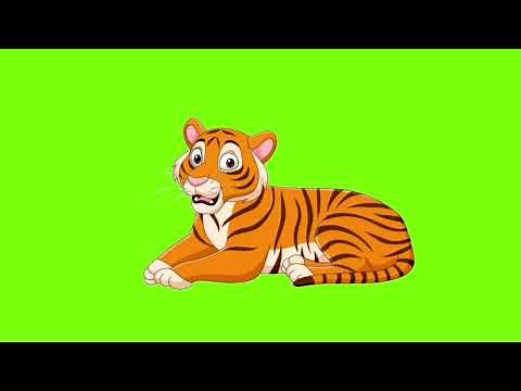Animated green screen tiger | No copyright|Animation World