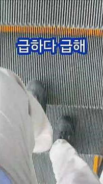 서둘러서 기차 타기 #달리기 #기차시간 #ktx이음 #건강한다리 #건각