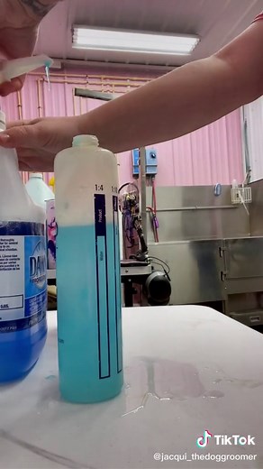 Skunk Bath Recipe for Dog Grooming: Remove Skunk Smell Easily!