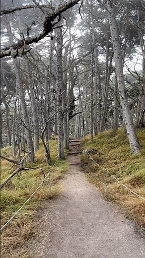 One of the most magical hikes in California