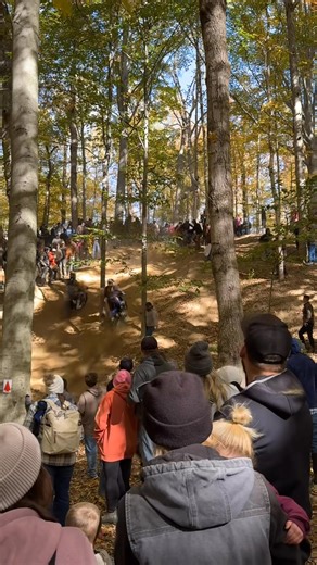 Breanne Dale on Reels