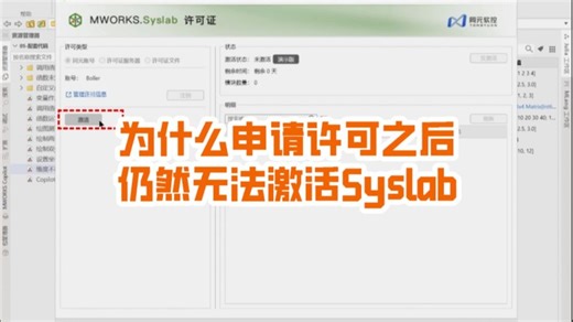 为什么申请许可之后仍然无法激活Syslab？