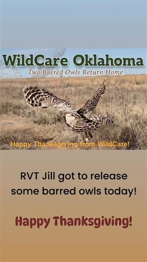 WildCareOklahoma on Reels