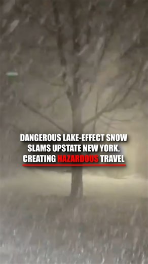 BLIZZARD BATTLE: Heavy lake-effect snow blankets much of upstate New York as intense conditions persist across the region. The whiteout is creating hazardous highways and treacherous travel, particularly for drivers around Buffalo and Watertown. Residents should remain cautious as the cold front continues to climb. FOX Weather | Fox News