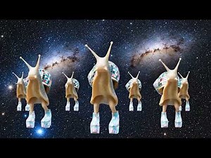 Disco Snails Official Video