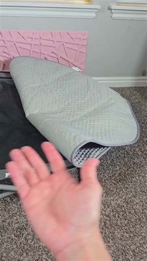 pecute raised dog bed