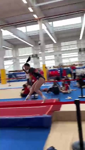 Gymnastics Performance Highlights Strength and Flexibility