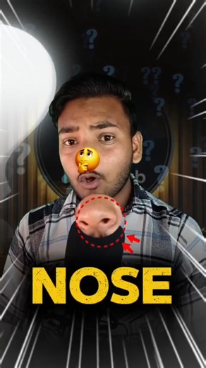 Naak ko "Naak" hi kyun kehte hain? 🤔 #facts #factzhub