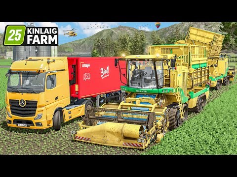 Spinach Harveste & Making Straw Convert Into Square Bales | Kinlaig Farm | Timelapse