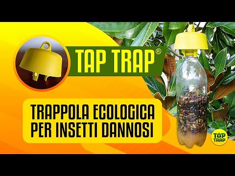Tap Trap - trappola ECOLOGICA per insetti