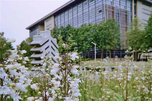 matlab入门 培训公开课