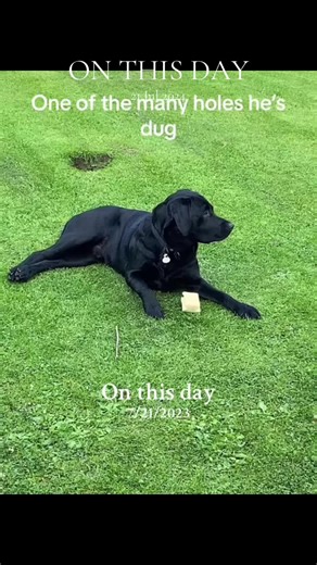 Heath_Land on TikTok