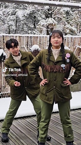 에버랜드 아마존 노래: 사복, 댄스, 랜덤 플레이 2024