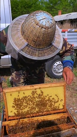 Farmer Installs a 'Dummy Board' to Control Hive Space! 💥