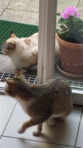 magique de transformer un simple instant en un moment de tendresse infinie #cute ‪@sodachhim‬