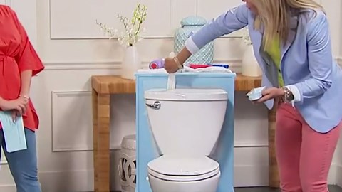 PAINT BEHIND Toilet Tool Nylon Brush - Flat Paint Brush Set for Walls, Behind Toilet and Hard to Reach Areas - Painting Supplies for Home Interior Set - 16 in L x 12 in W x 19 in H