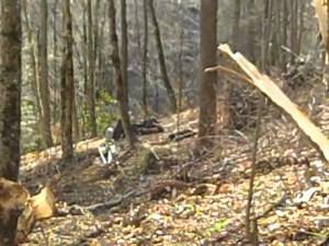 WROL Spring Development Part 4