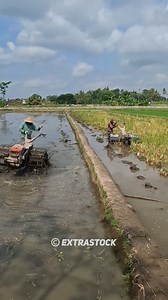 2 Hand Tractors Working on Adjacent Fields | Extra Stock