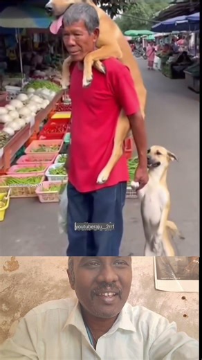 pasam ithu tha #dog #doglove #pet #animal #animallove #emotional #hearttouching #humanity #petlover