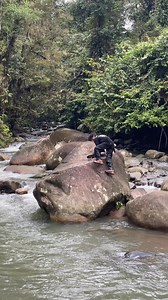 34K views · 481 reactions | Day Gery on Reels | Facebook