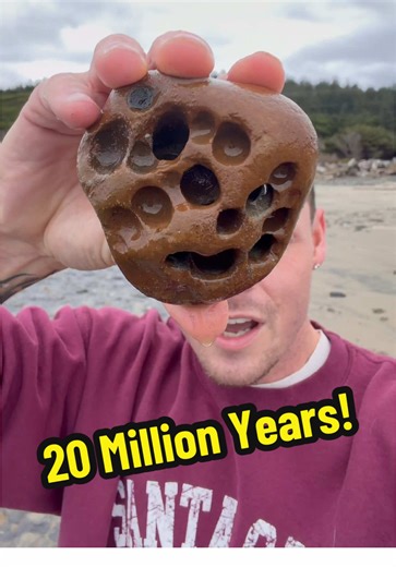 Discover Fossils and Agates on the Oregon Coast