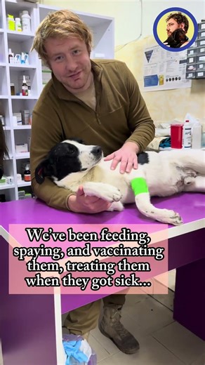 We rescued stray dog Snowflake for many times, now, he needs help again...