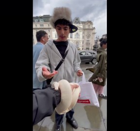 Strangers stop short when a python comes into view