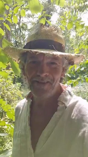 A day teaching by Wilderness Lake#artistoninstagram#artistlife#oilpainting #mixedmedia #pleinairpainting #artlesson#NortonConyers#paintingsalake#davidsteadstudio #davidsteadgallery | Becky Stead