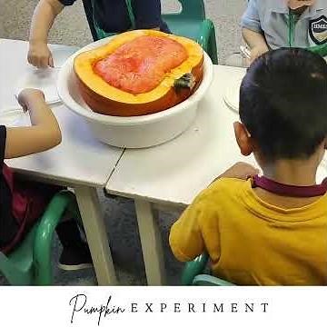Preschool Science Fun | Hands-On Experiments That Spark Curiosity 🧪🎃
