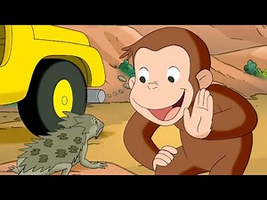 George Discovers Desert Wildlife! | Curious George | Adventure & Play