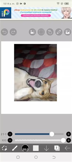 La Bandera de Venezuela en Todas Partes