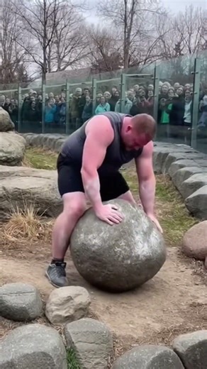 Strongman fails gorilla lifts it easily