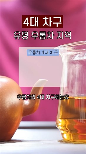 유명한 우롱차 생산 지역 | 2022년 충이차창 황룡 19호 #우롱차 #오룡차 #대만차