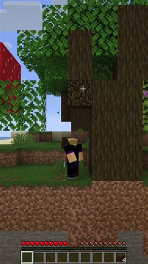 E se o Minecraft fosse 2D? 🤯