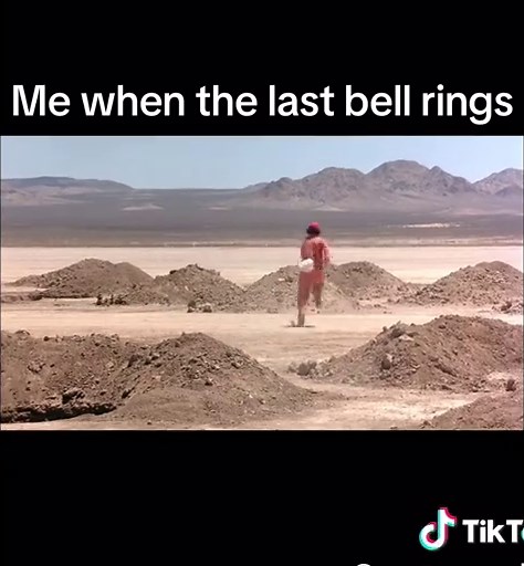 Reflections on 'Holes' and School Memories