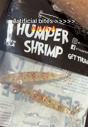 Easy Dinner Fishing in Florida Keys