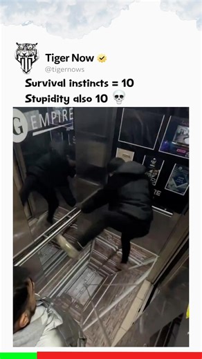 Survival instincts = 10, Stupidity also 10 💀