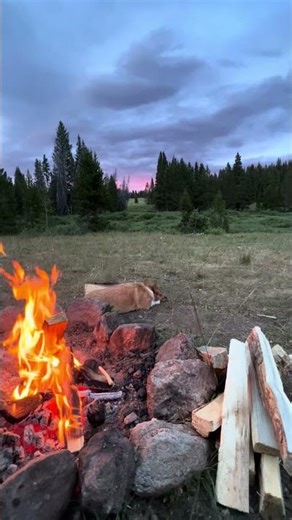 Campfire in Colorado | dispersed camping | sunset #campfire #camping #colorado