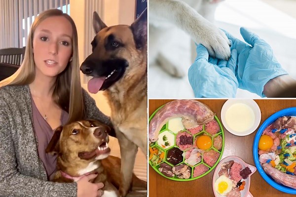Raw diet for dogs is taking over TikTok — but what does your veterinarian think of the latest trend?