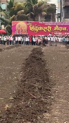 नशिबाने साथ दिली नाही आज आपल्या वाघाला