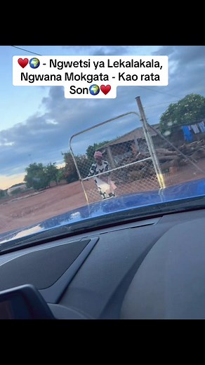 Counting My Blessings: A Heartfelt Tribute