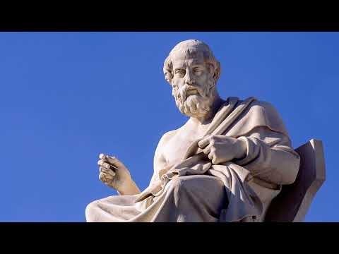 #264 - Theaetetus by Plato