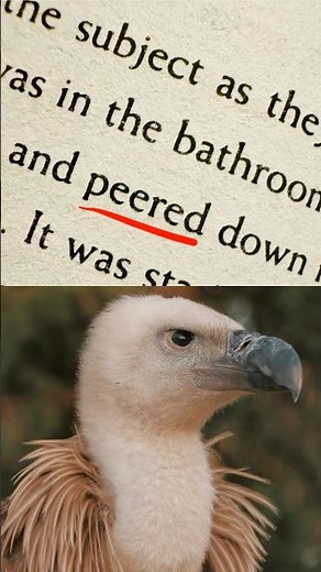 What Does “Peer” Really Mean?